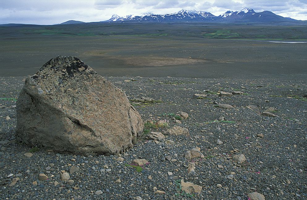 Hveravellir