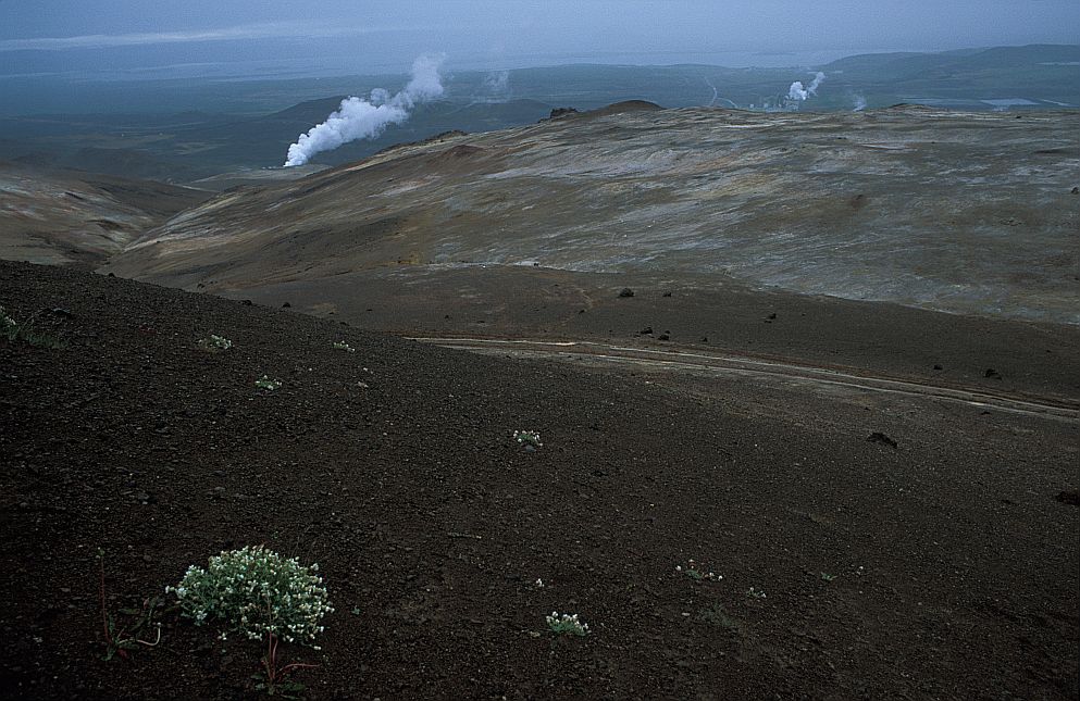 Mývatn
