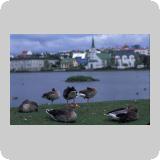 Reykjavík