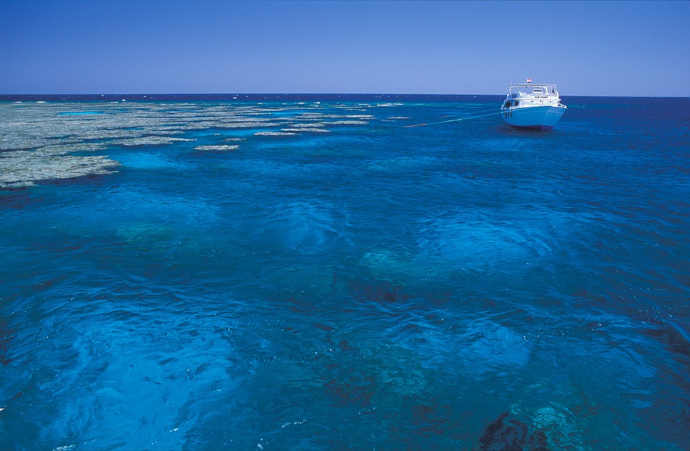 Middle Reef
