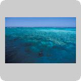 Panorama Reef