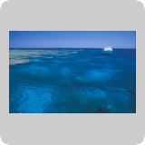 Middle Reef