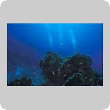 Middle Reef/en dérivante