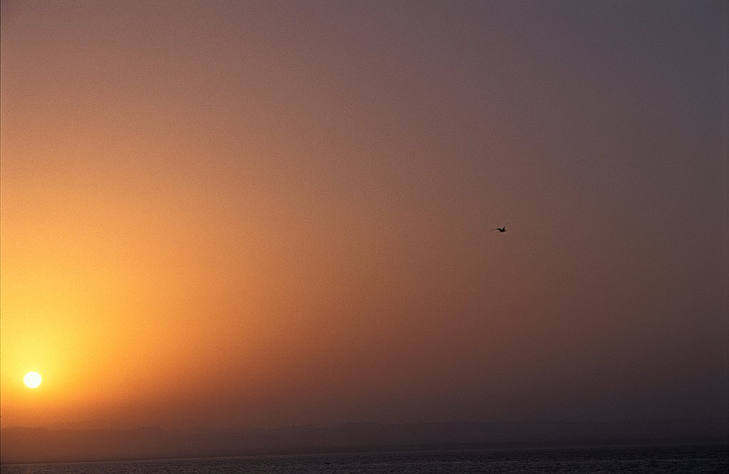 Shalam Yat