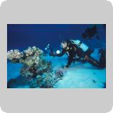 Gotta Marsa Alam