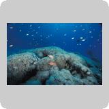 Gotta Marsa Alam