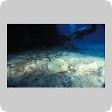 Gotta Marsa Alam