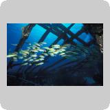 Gotta Marsa Alam