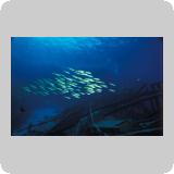 Gotta Marsa Alam
