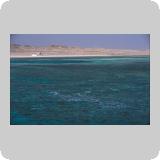 Marsa Shuma